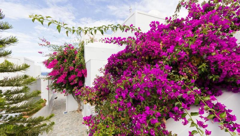 Unique Galini Oia - Adults Only Aparthotel Luaran gambar